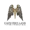 CADUCEUS LANE MARKETING CONSULTANCY