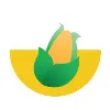Learn Kernel Learn Kernel