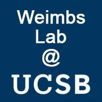 Weimbs Lab