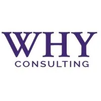 WHY CONSULTING