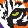 Tigervision