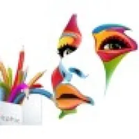 Graphic Designing Jobs