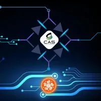 IEEE CAS BNMIT Student Branch