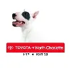 Toyota of North Charlotte Toyota of North Charlotte