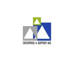 Enterprise e-Support, Inc. Enterprise e-Support, Inc.