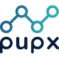 Pupx Analytics Consulting