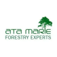 Ata Marie Group Ltd email format