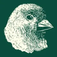Finch