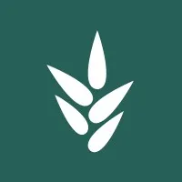 Rosemary Contracting Company