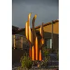 COPPER HEALTH ORO VALLEY LLC COPPER HEALTH ORO VALLEY LLC