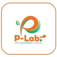 Possibility Laboratory (P-Lab.)