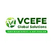VCEFE Global Solutions VCEFE Global Solutions
