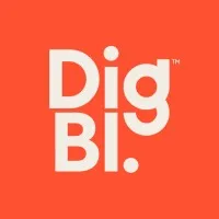 DigBI Consulting®