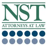 Nahon, Saharovich & Trotz, PLC
