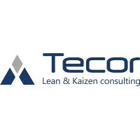 TECOR Lean & Kaizen Consulting