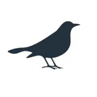 Shearwater Recruitment