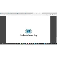 Hackett Consulting