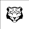 Black Tiger Black Tiger