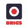 BRIGS BRIGS