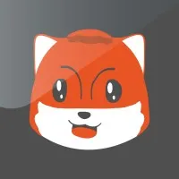 Pidex Limited Pidex Limited