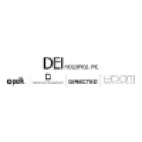 DEI Holdings, Inc.