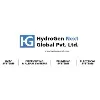 HydroGen Next Global Pvt Ltd