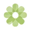 Your Ally Foundation, Inc Your Ally Foundation, Inc