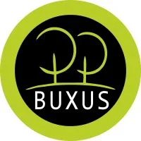 Buxus Media