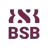 BSB - Burgundy School of Business BSB - Burgundy School of Business