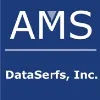 AMS DataSerfs, Inc. AMS DataSerfs, Inc.