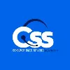 Consumer Sales Services Consumer Sales Services