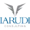 IARUDI Consulting IARUDI Consulting