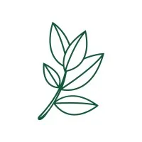 Nafsology Psychology Center