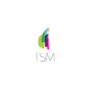 TSM GROUP INC TSM GROUP INC