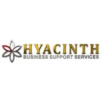 Hyacinth Holdings, Inc.