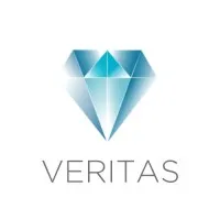 Veritas Accountants