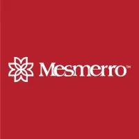Mesmerro