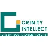 Grinity Intellect Grinity Intellect