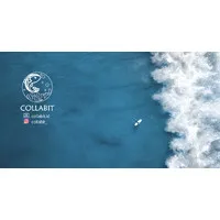 Collabit