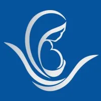 New Little Life LLC