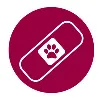 VETURGENCY, LLC VETURGENCY, LLC