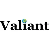 Valiant Business Consulting Valiant Business Consulting
