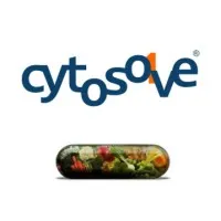 CytoSolve, Inc.