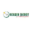 Nexgen Energy and Allied Services Limited Nexgen Energy and Allied Services Limited