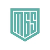 Minerva Global Solutions Minerva Global Solutions