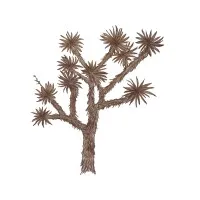 Joshua Tree Counseling