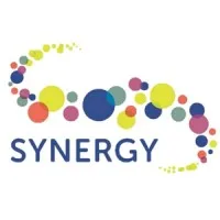 Synergy Youth and Community Development Society O/A Synergy