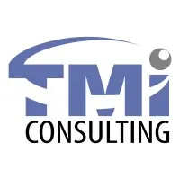 TMI Consulting, LLC