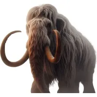 Cloud Mammoth | Salesforce Partner