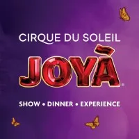 Cirque du Soleil JOYÀ